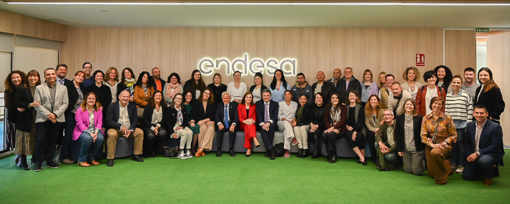 Fundación Endesa Prevé Mejorar La Empleabilidad De 80 Personas En ...